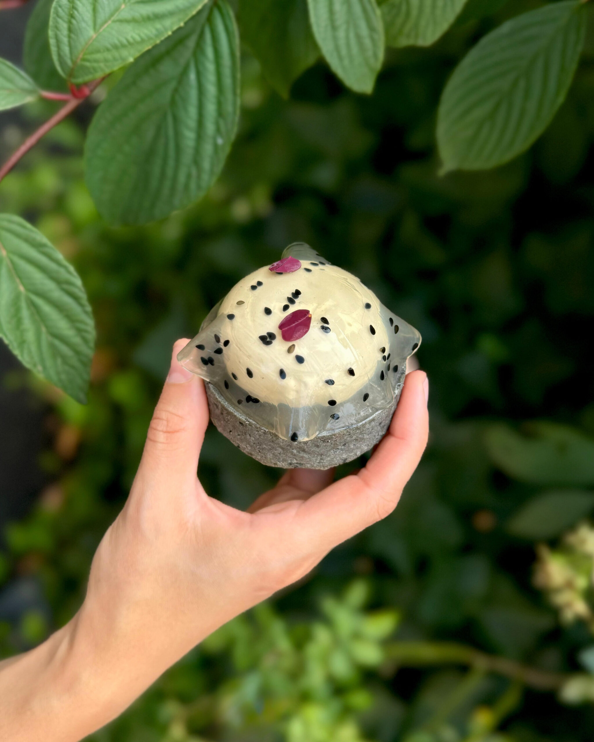 Sesamina vegan pastry dessert by Loba Pâtisserie